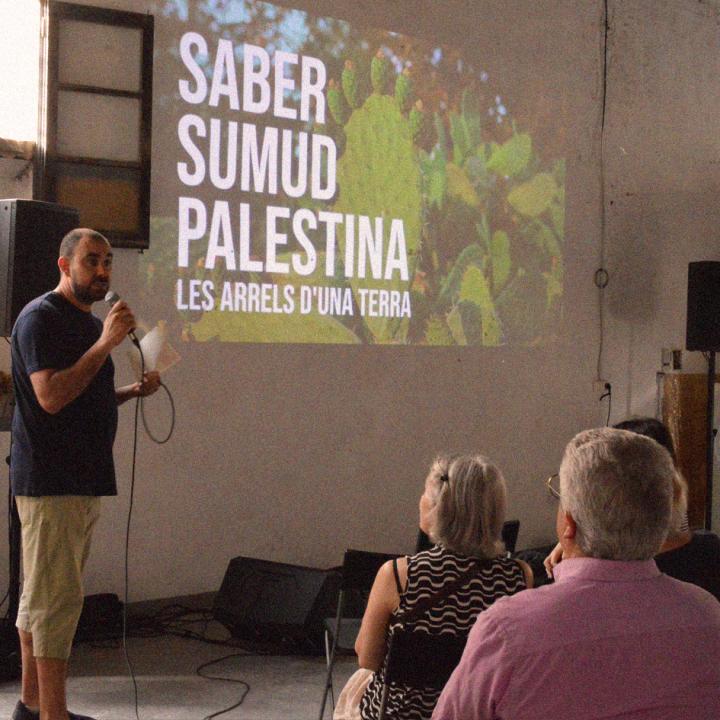 parlament terrassa amb palestina