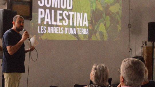 parlament terrassa amb palestina